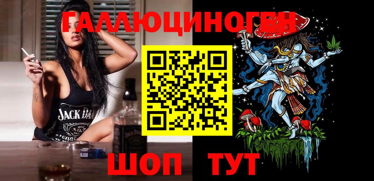 Псков  Псилоцибиновые грибы MAGIC MUSHROOMS  Вход с VPN  Псилоцибиновые грибы Psilocybine cubensis 