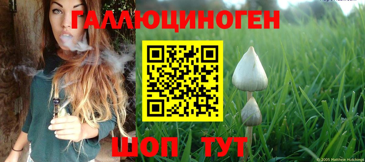 Псилоцибиновые грибы GOLDEN TEACHER Псков